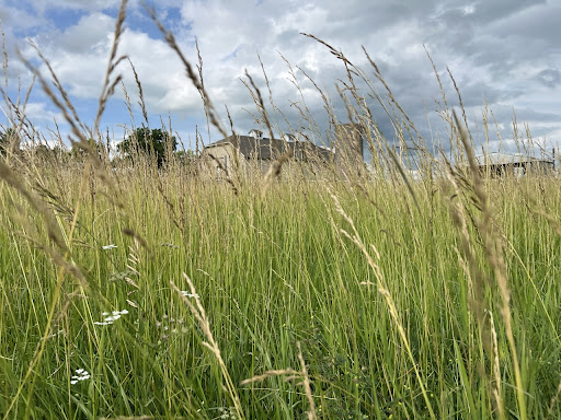 Trip photo